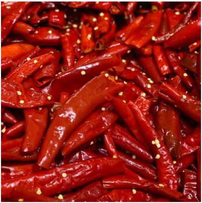 Calabrian Chili: Spicy Italian Peppers - Chili Pepper Madness