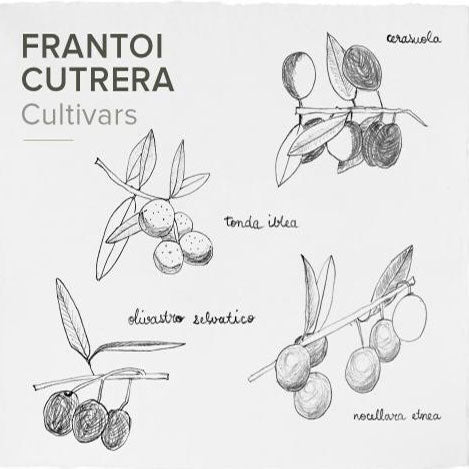 Flora Ovopid Olio Primo Intervento - Famideal